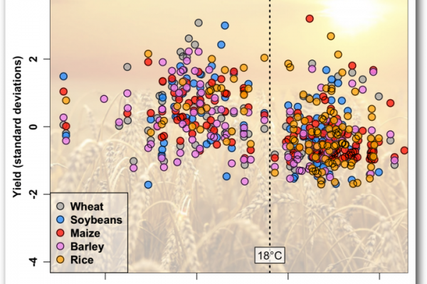 Temperatur und Ernteerträge