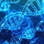 Wann ist mRNA nicht wirklich mRNA? – Dr. med. Robert Malone Wann ist mRNA nicht wirklich mRNA? – Dr. med. Robert Malone