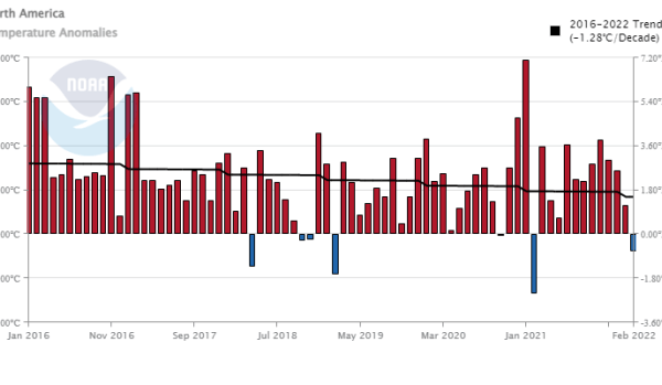 Kältereport Nr. 12 / 2022