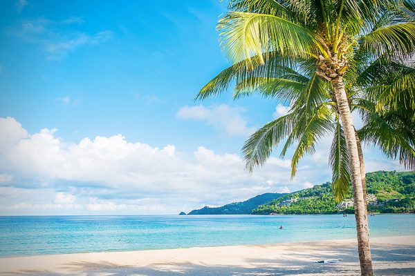 Urlaubstipp: Vortragsreise im Mai nach Mallorca – „Deutschland, was nun?“