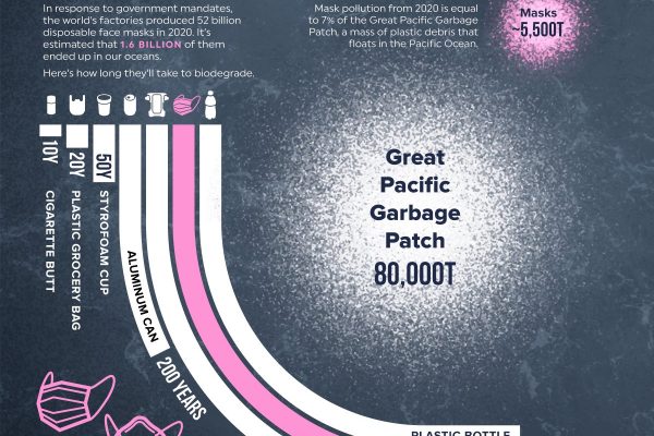 Unglaubliche Umweltverschmutzung: Plastikmasken verrotten erst in 450 Jahren