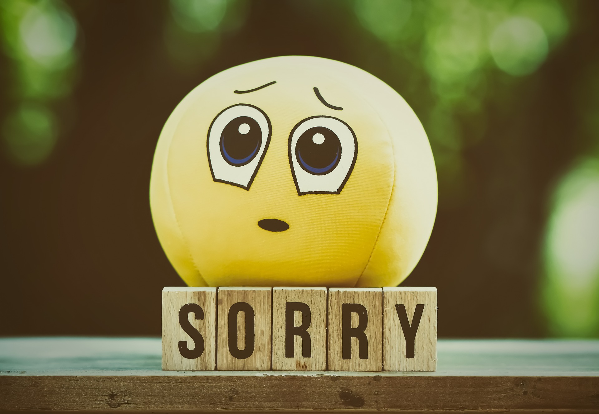 excuse-me-5079442_1920.jpg