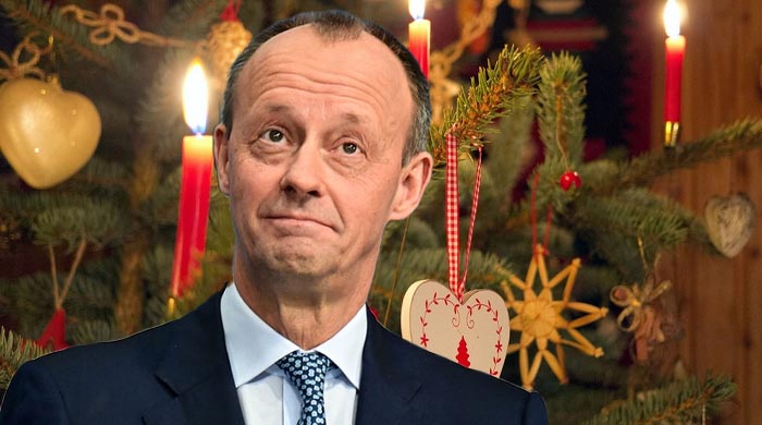 merz_energie.jpg