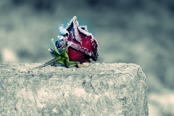 Israel: Starker Anstieg bei Todesfällen von Neugeborenen nach Start der Impfkampagne gegen Covid-19