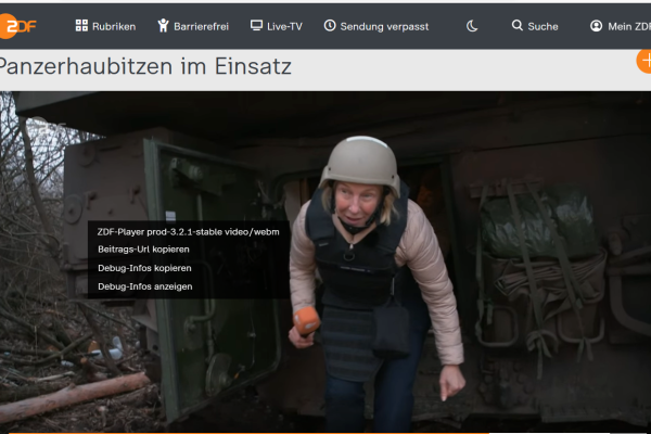 Über den jämmerlichen Zustand unserer Medien (1)