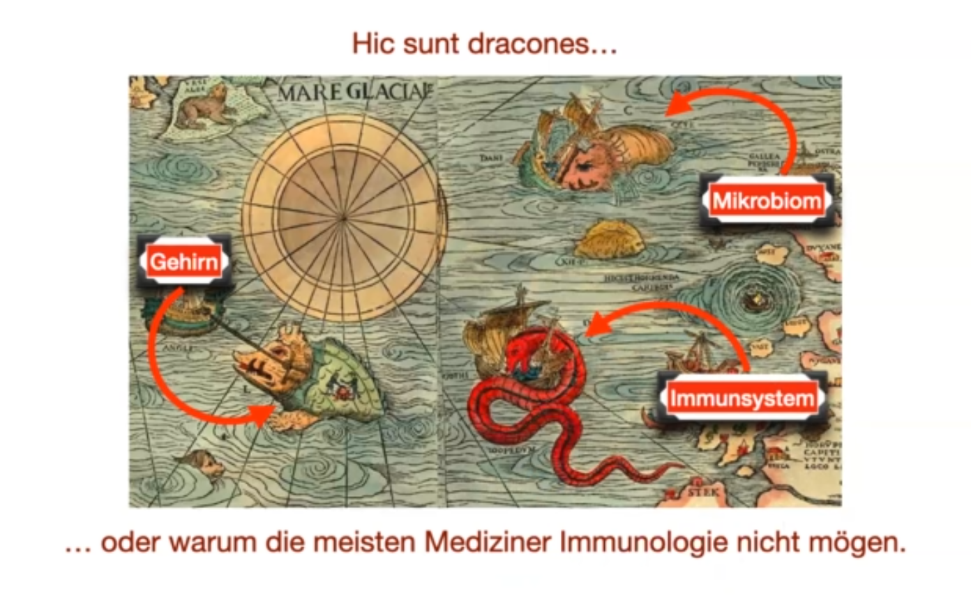 Drachen-e1674475897117.png