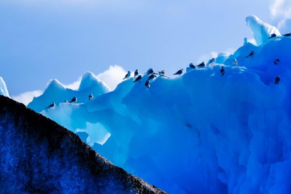 Keine globale Erwärmung seit 8 Jahren – Antarktis seit 70 Jahren stabil