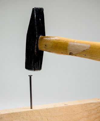 coffin_teaser-1.jpg