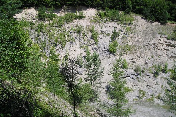 Falls die globale Erwärmung real und katastrophal ist – warum ergrünen dann die Wüsten?