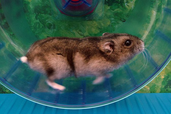 Woher kommt der Strom? schönes Wetter