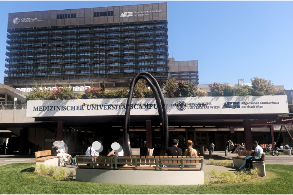 Absurdistan: Corona „Denkmal“ vor MedUni Wien und Universitätsspital