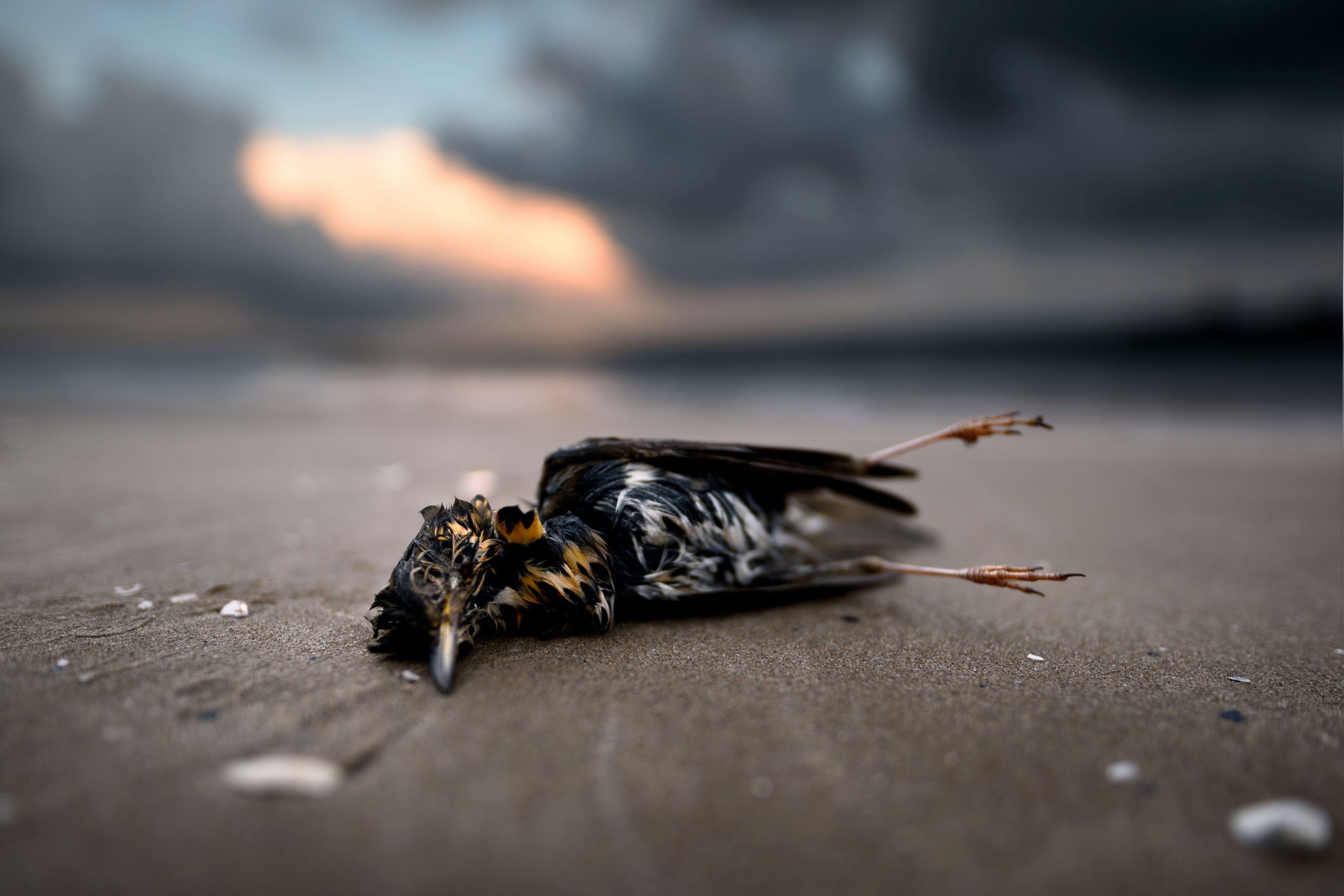 angel-santos-etKWA9yCMqw-unsplash-scaled