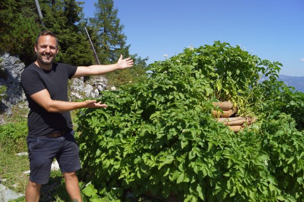 Bad Ischl: Auf der Katrin wachsen neuerdings auch Erdäpfel